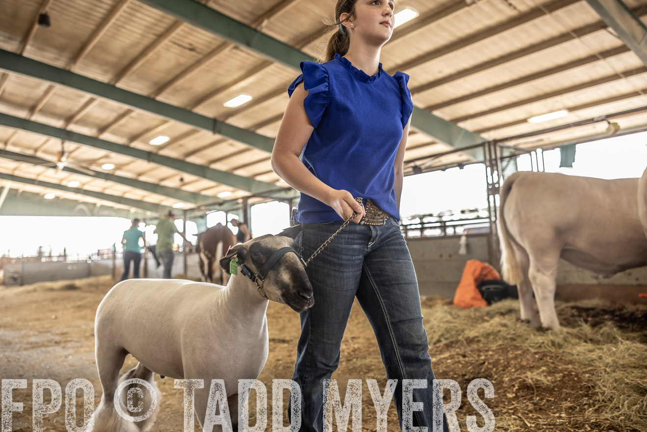 TMyers_PlotTwist_HEB_ConroeTX_April2024-518902