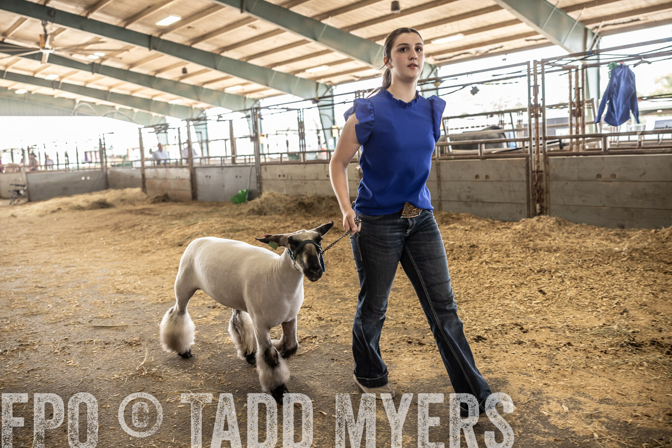 TMyers_PlotTwist_HEB_ConroeTX_April2024-518912