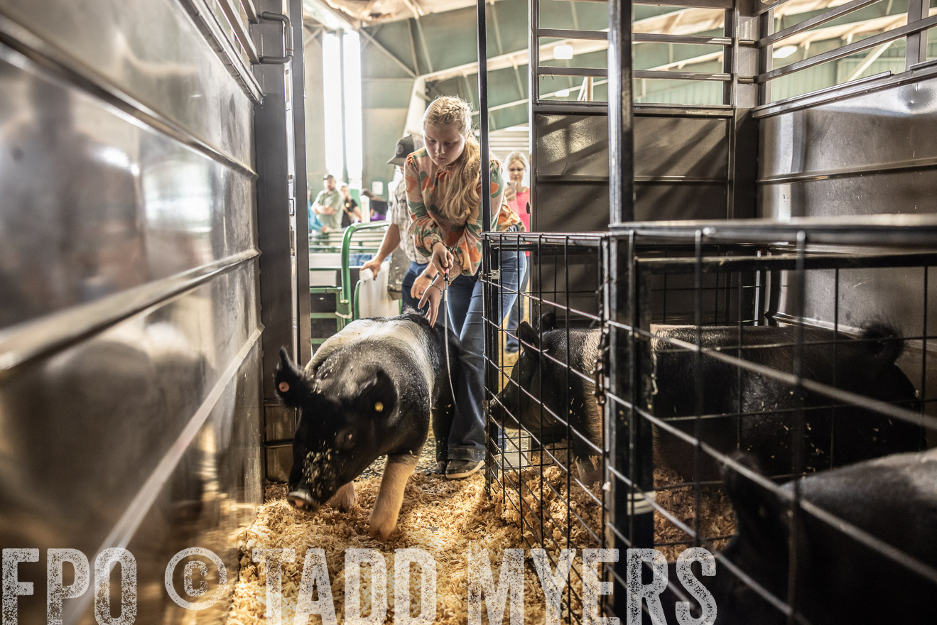 TMyers_PlotTwist_HEB_ConroeTX_April2024-518933