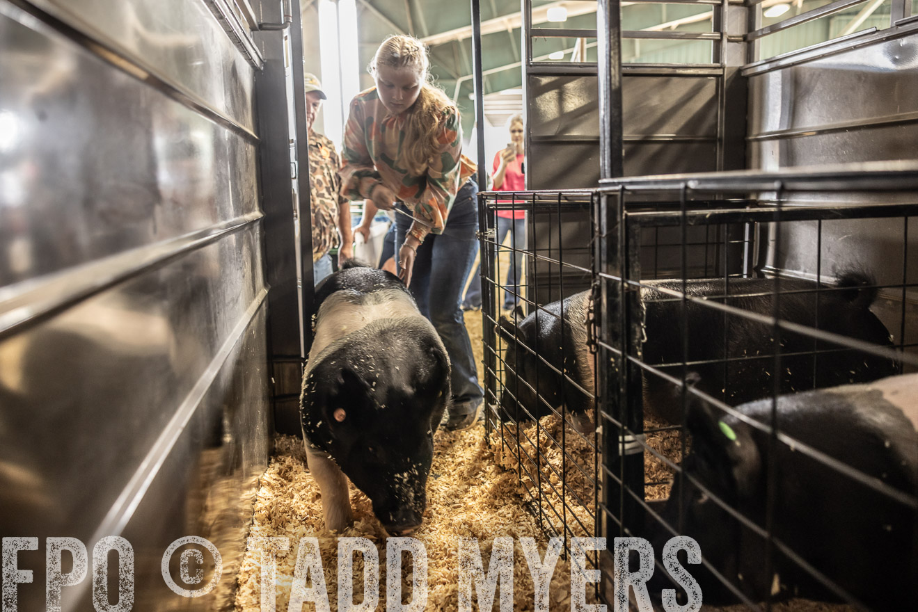 TMyers_PlotTwist_HEB_ConroeTX_April2024-518937