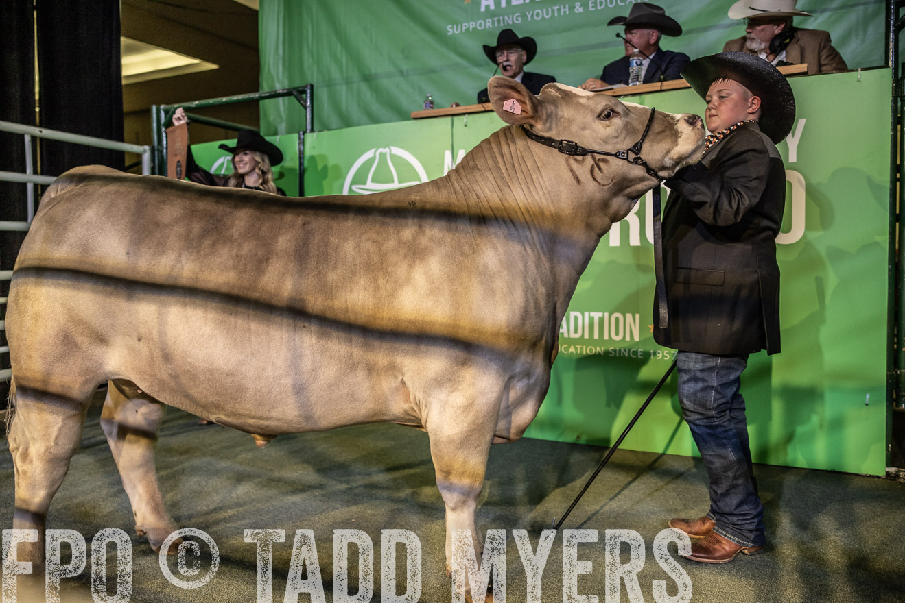 TMyers_PlotTwist_HEB_ConroeTX_April2024-519012