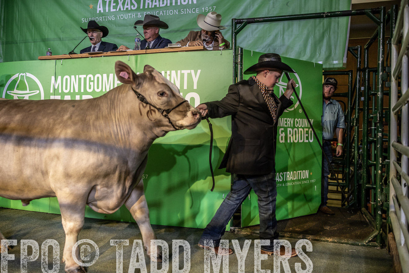 TMyers_PlotTwist_HEB_ConroeTX_April2024-519025