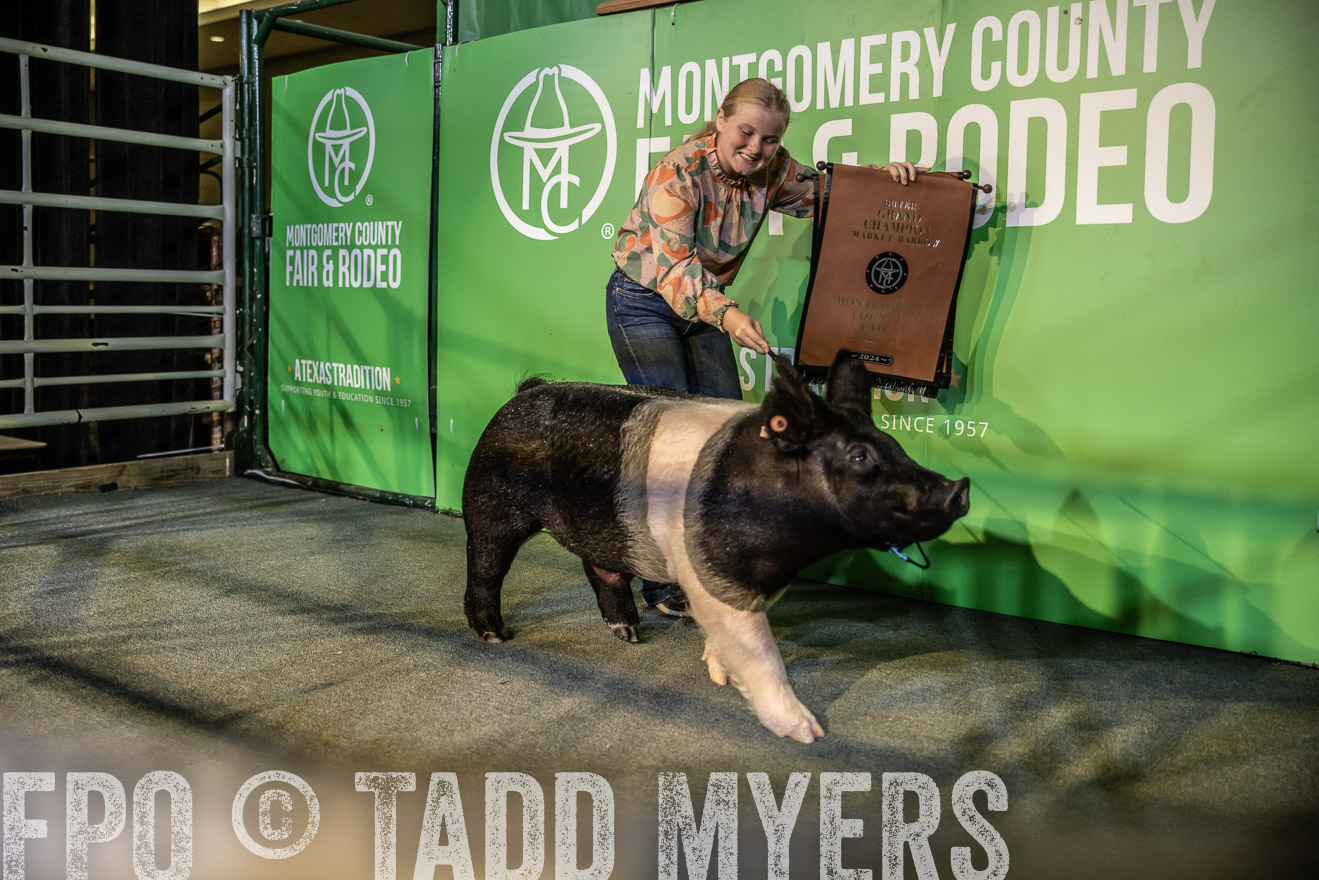 TMyers_PlotTwist_HEB_ConroeTX_April2024-519051