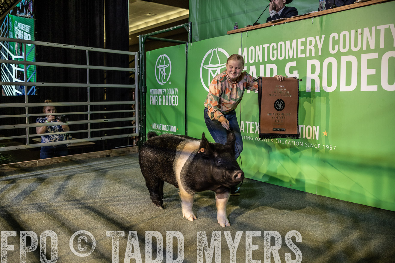 TMyers_PlotTwist_HEB_ConroeTX_April2024-519062