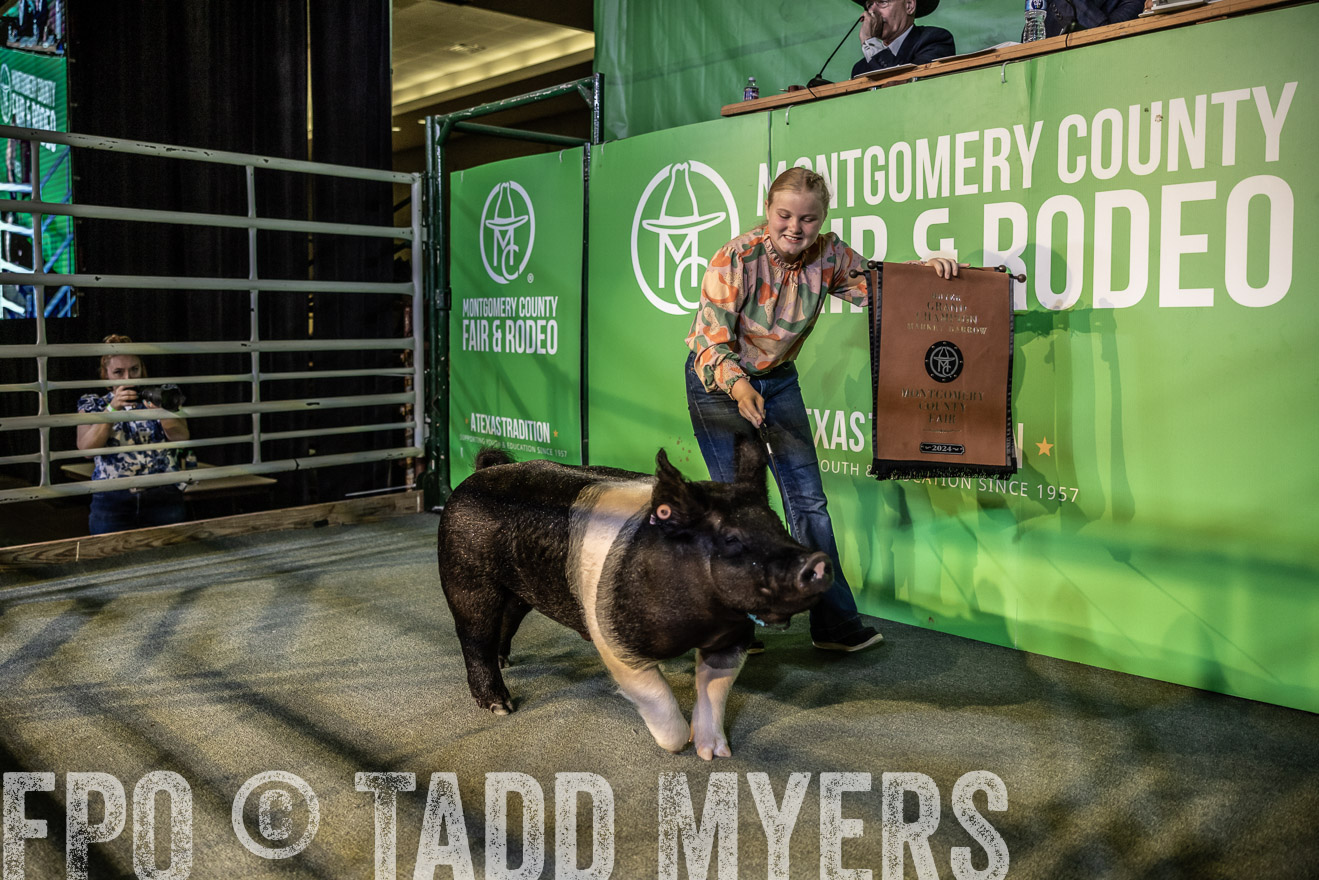 TMyers_PlotTwist_HEB_ConroeTX_April2024-519063
