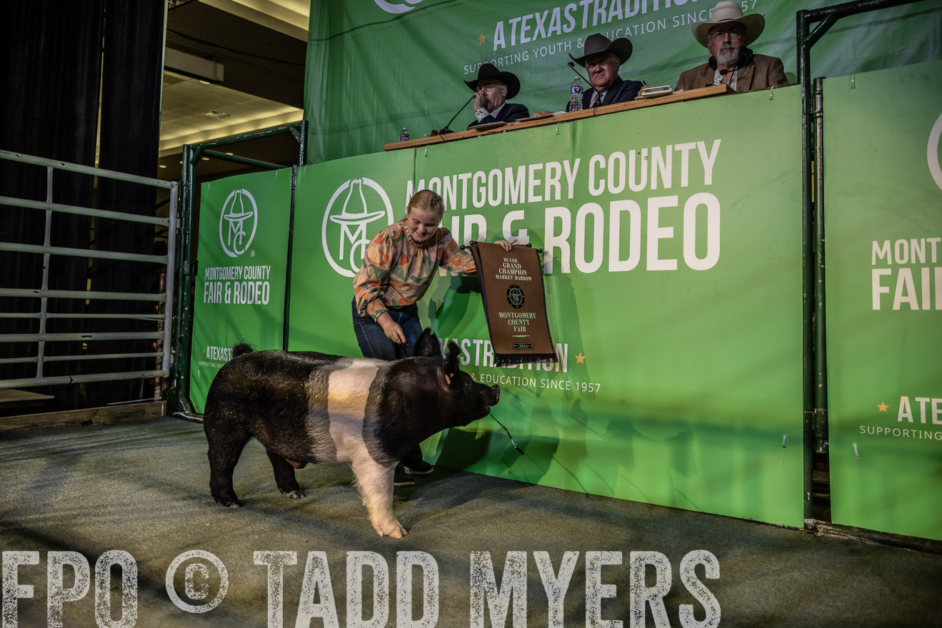TMyers_PlotTwist_HEB_ConroeTX_April2024-519101