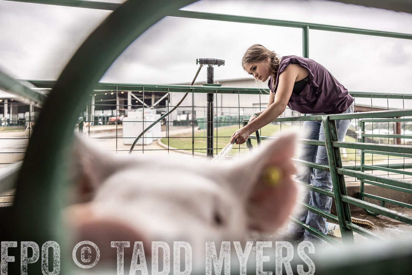 TMyers_PlotTwist_HEB_ConroeTX_April2024-515942