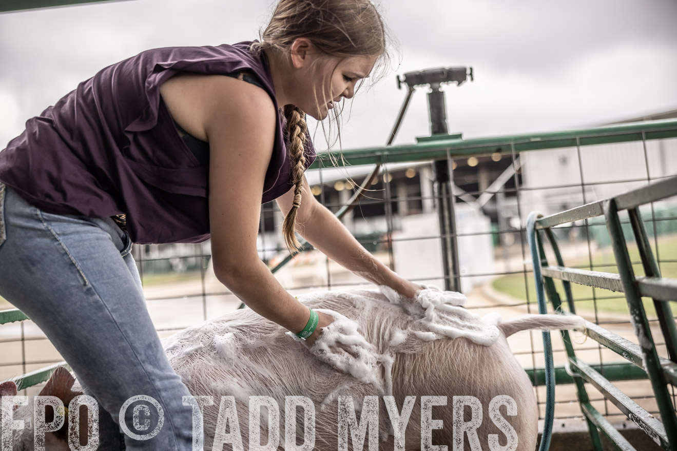 TMyers_PlotTwist_HEB_ConroeTX_April2024-515977