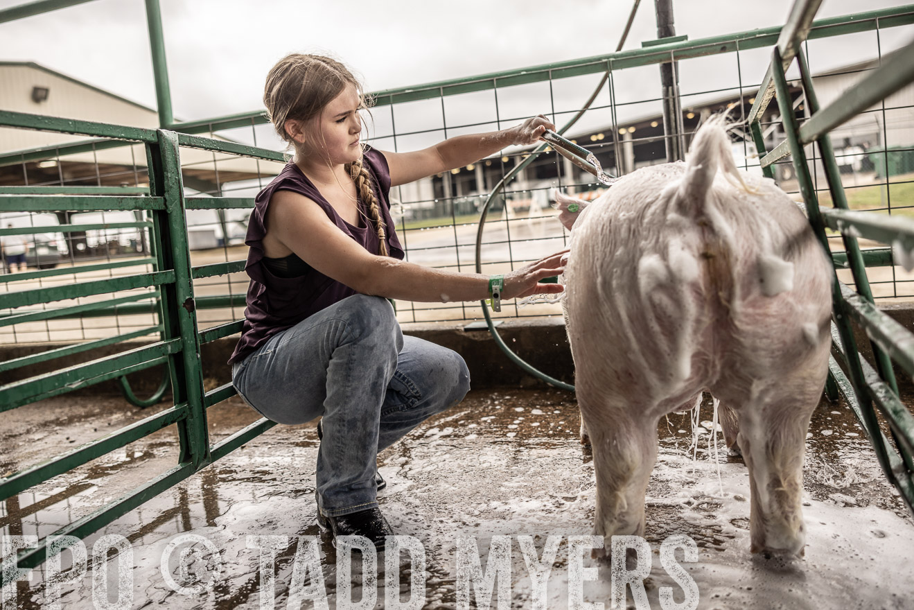 TMyers_PlotTwist_HEB_ConroeTX_April2024-516060-Edit