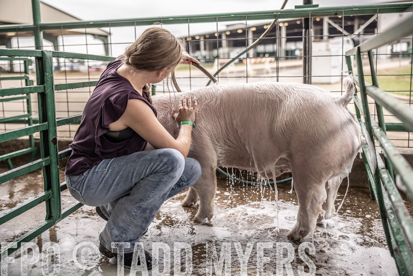 TMyers_PlotTwist_HEB_ConroeTX_April2024-516065