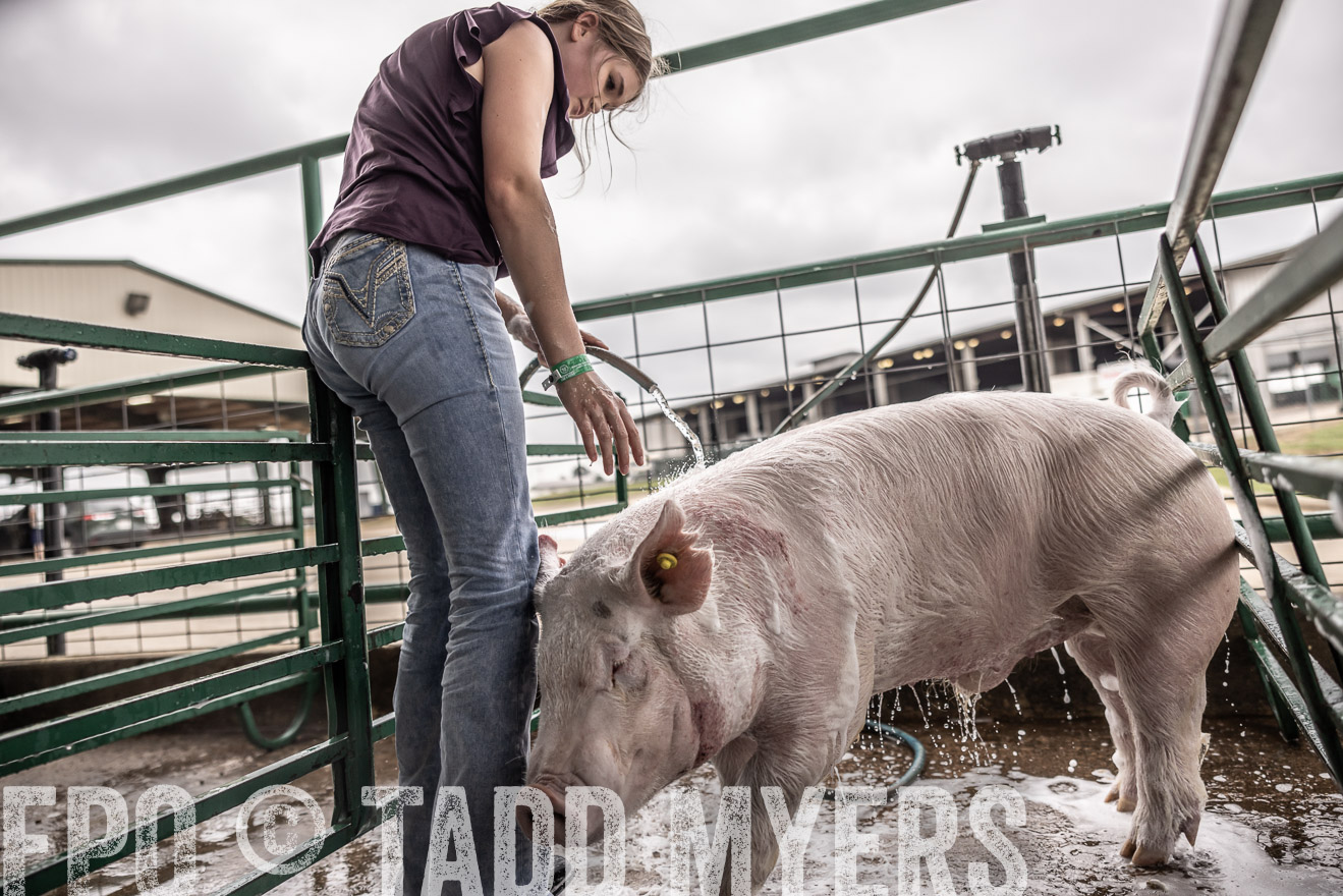 TMyers_PlotTwist_HEB_ConroeTX_April2024-516066