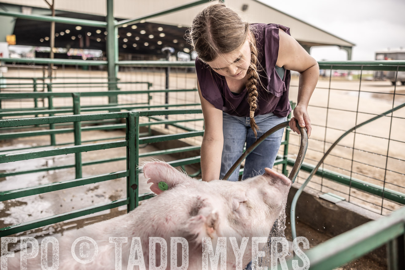 TMyers_PlotTwist_HEB_ConroeTX_April2024-516176