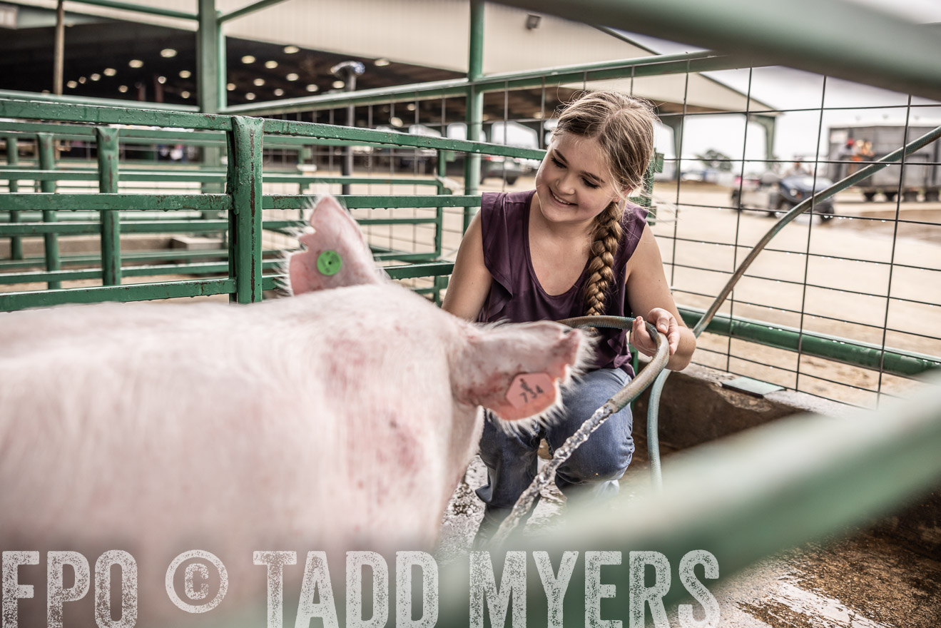 TMyers_PlotTwist_HEB_ConroeTX_April2024-516219