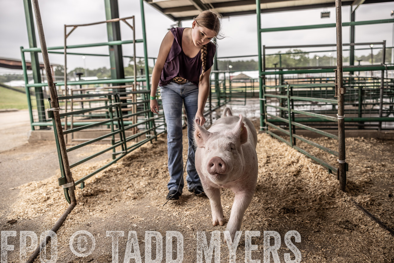 TMyers_PlotTwist_HEB_ConroeTX_April2024-516262