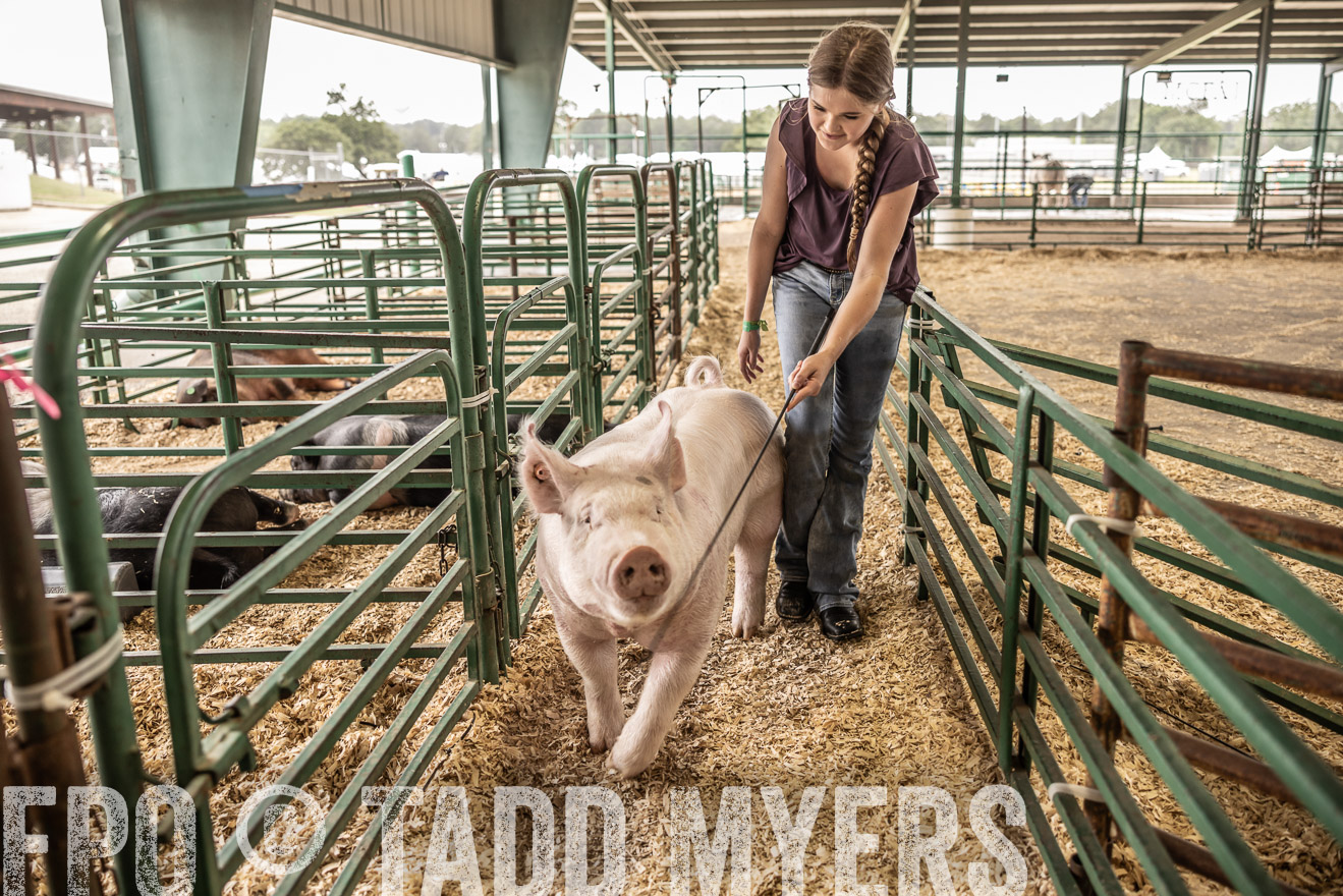 TMyers_PlotTwist_HEB_ConroeTX_April2024-516328
