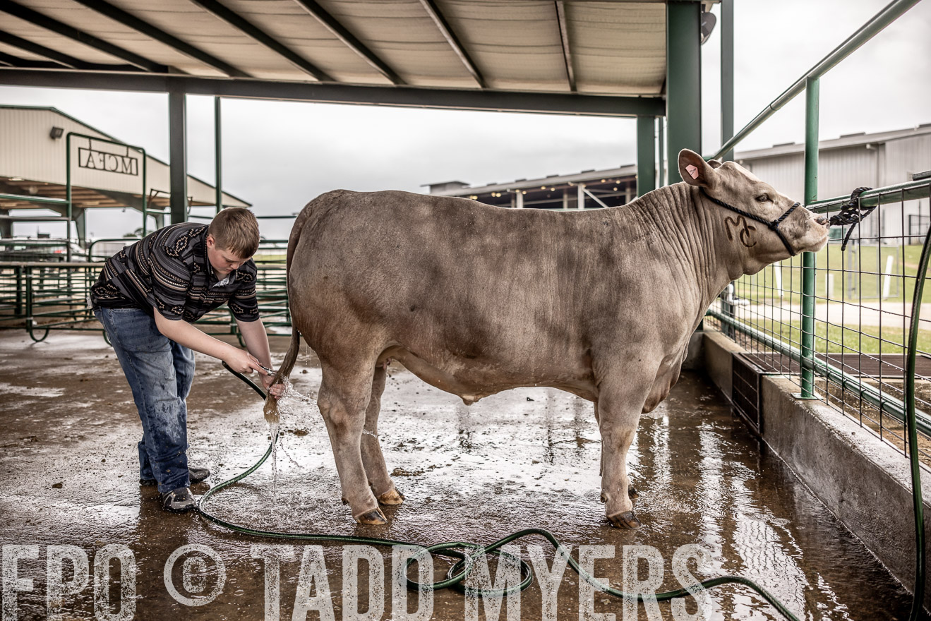 TMyers_PlotTwist_HEB_ConroeTX_April2024-516365