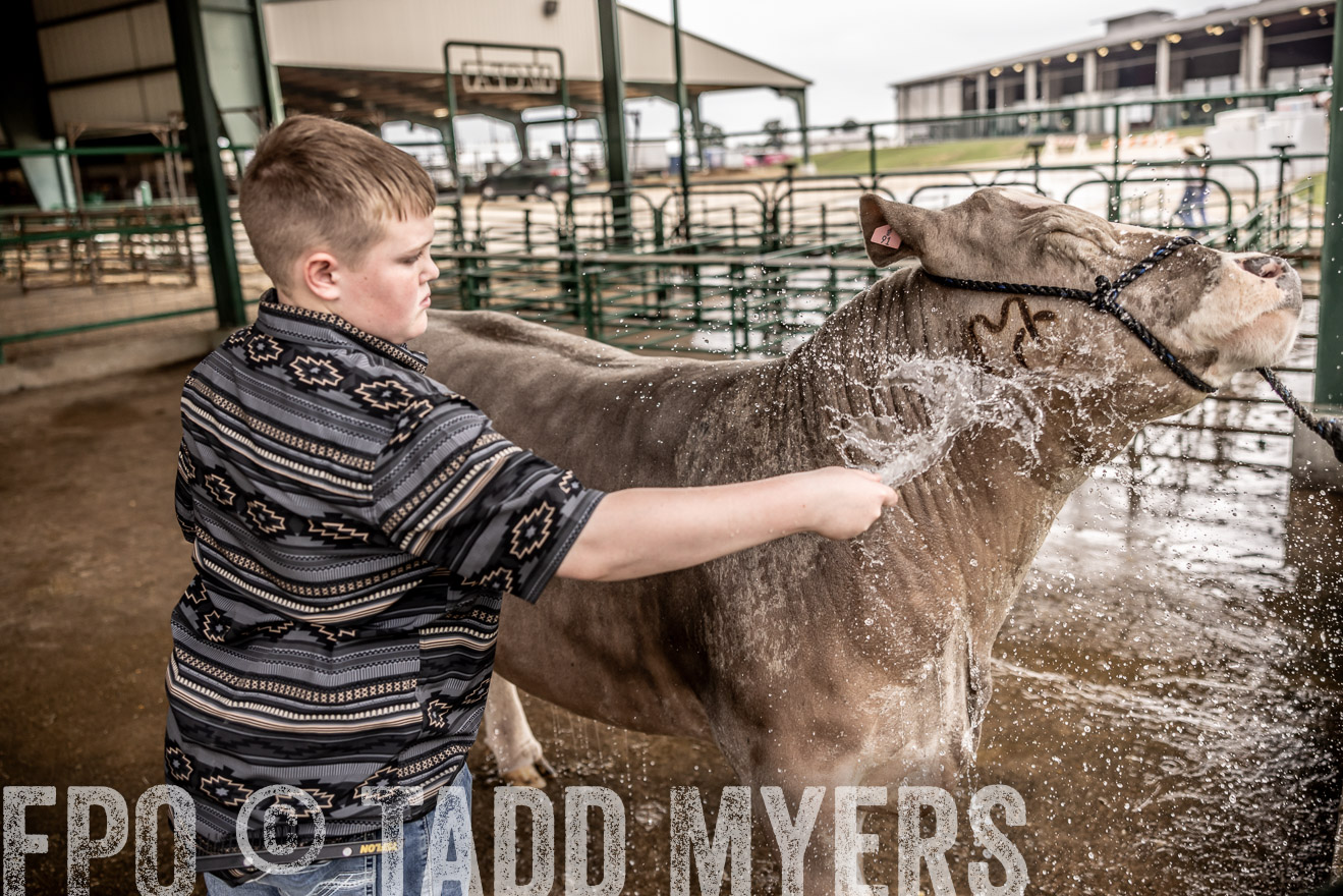 TMyers_PlotTwist_HEB_ConroeTX_April2024-516405