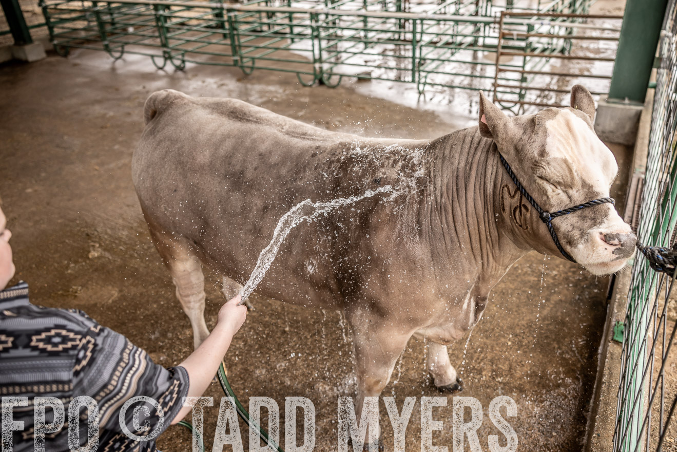 TMyers_PlotTwist_HEB_ConroeTX_April2024-516458