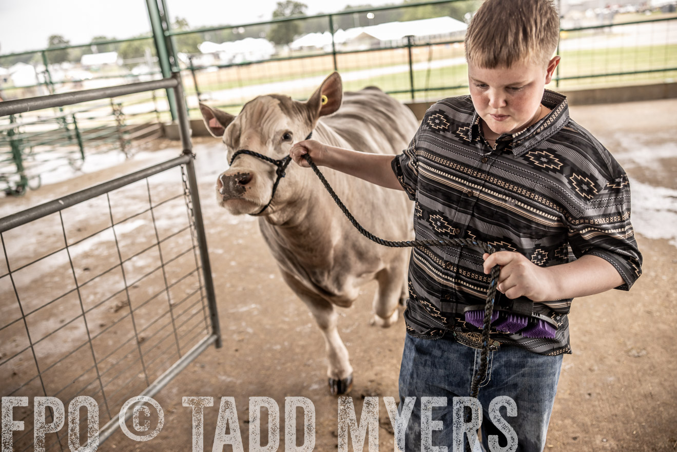 TMyers_PlotTwist_HEB_ConroeTX_April2024-516656