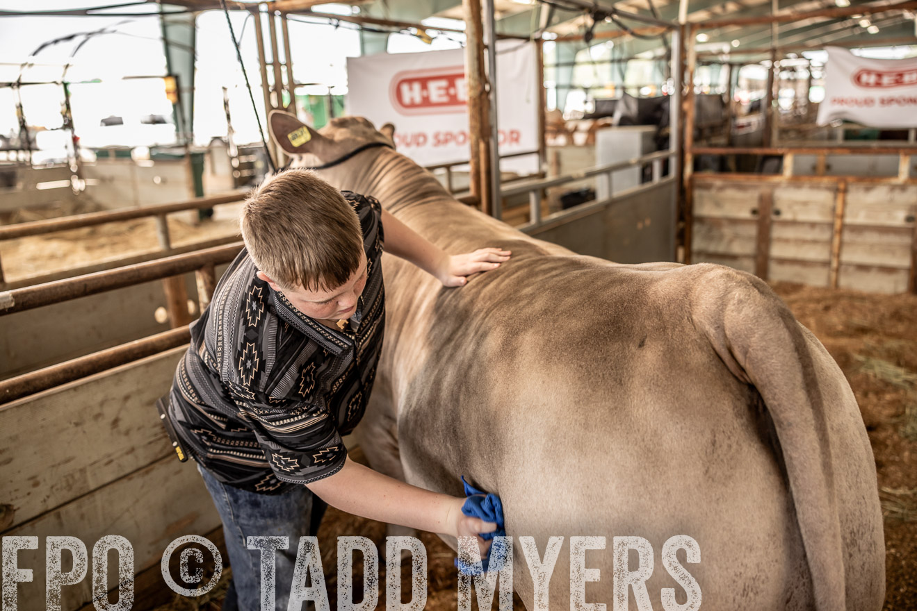 TMyers_PlotTwist_HEB_ConroeTX_April2024-516667