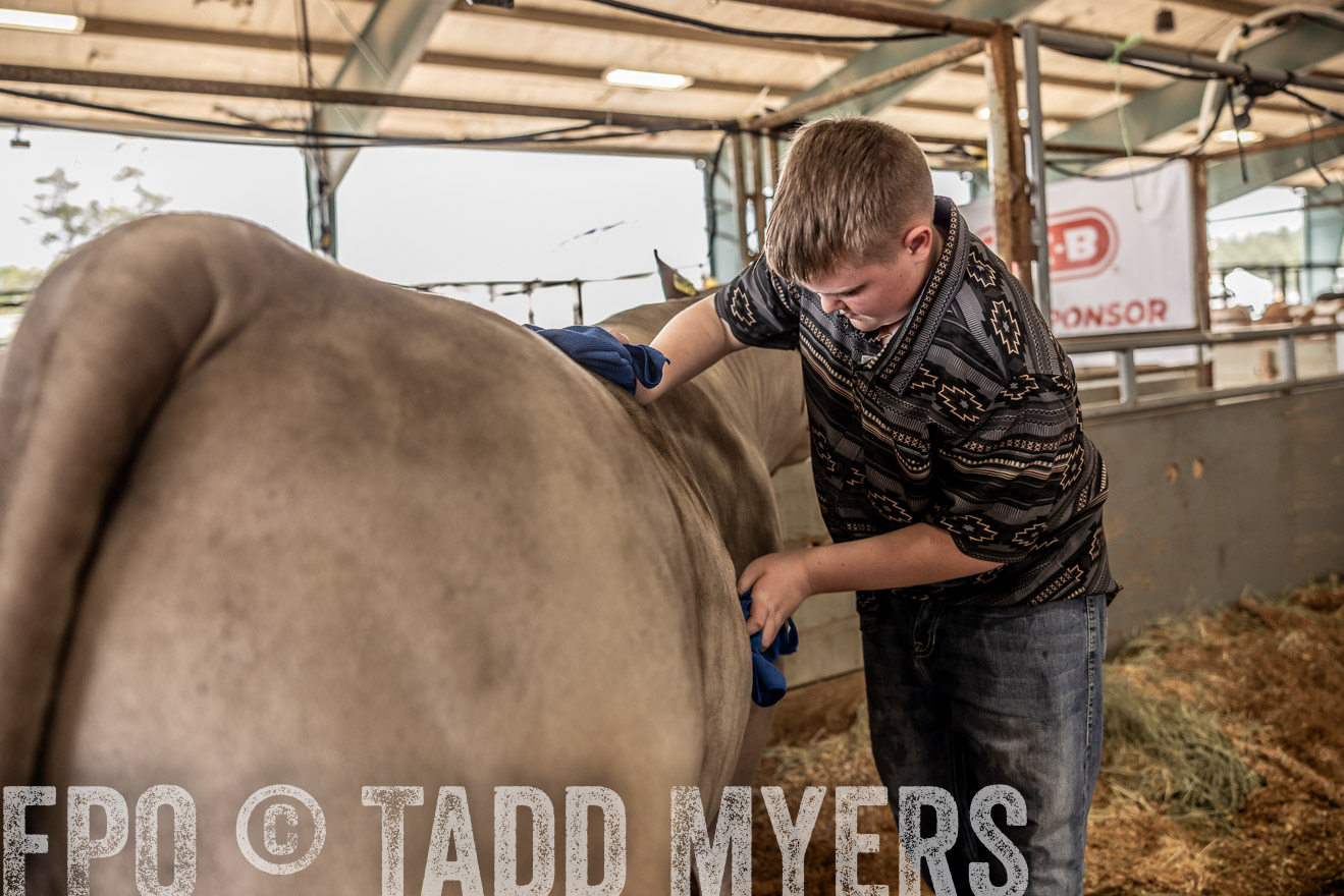 TMyers_PlotTwist_HEB_ConroeTX_April2024-516721