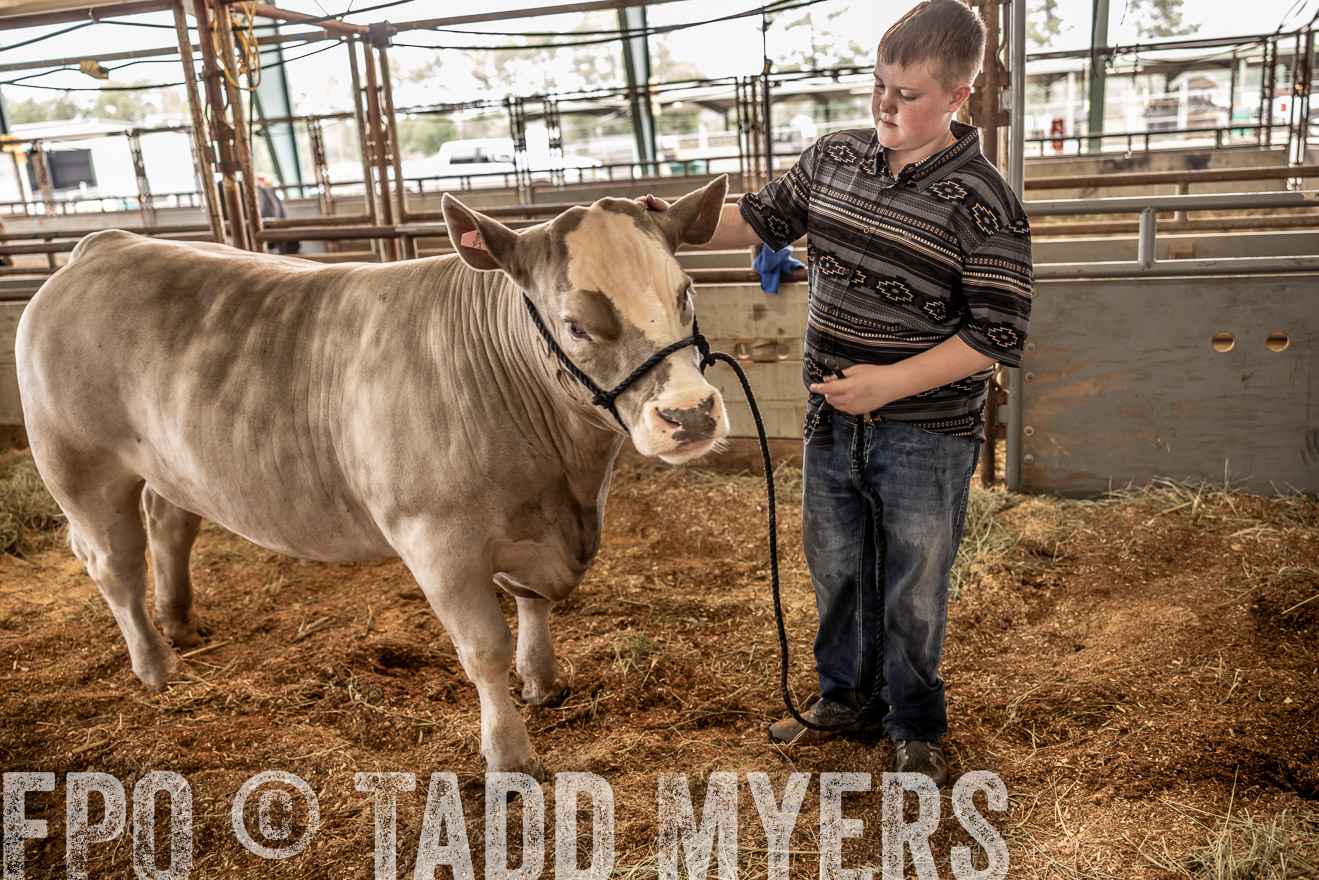 TMyers_PlotTwist_HEB_ConroeTX_April2024-516878