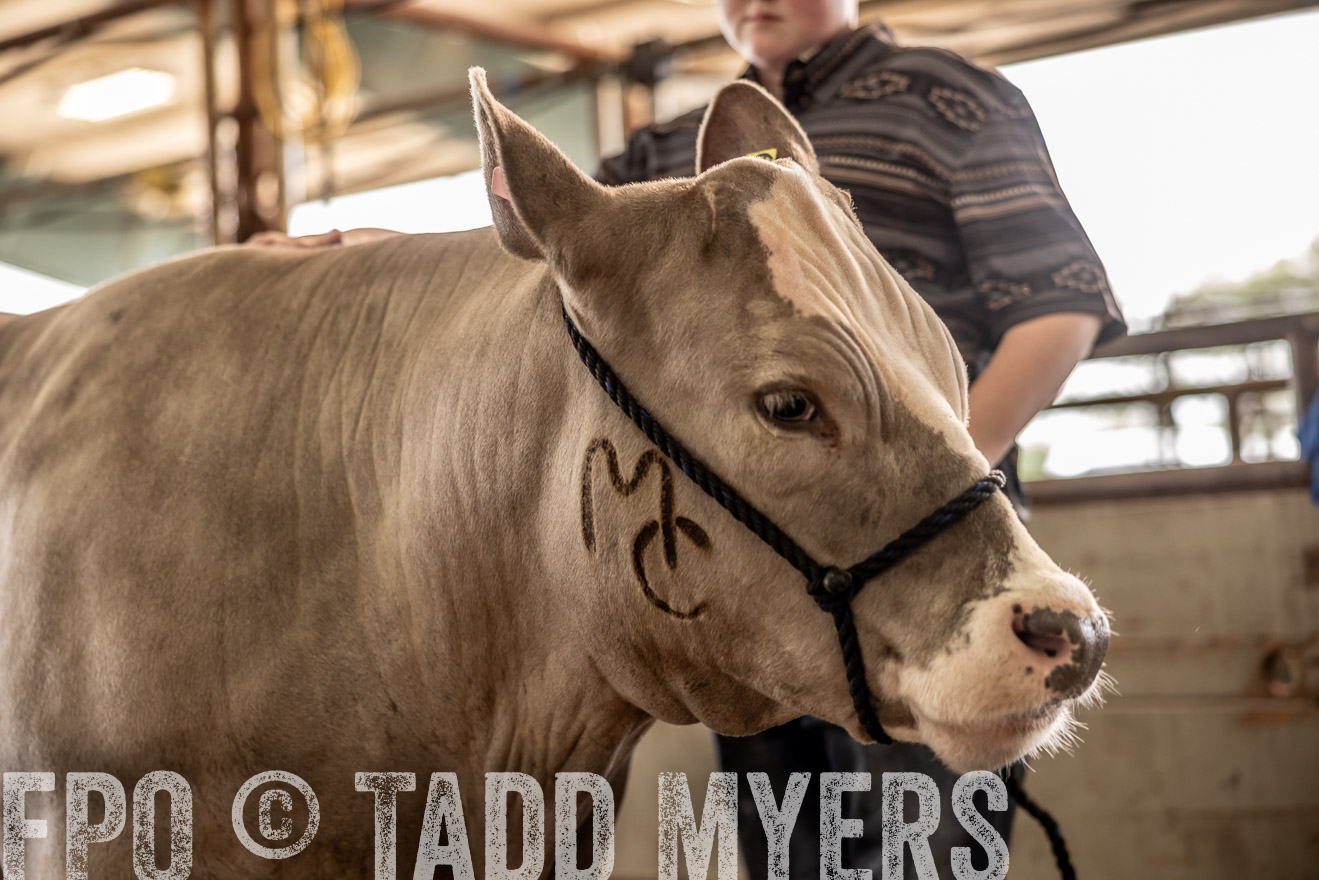 TMyers_PlotTwist_HEB_ConroeTX_April2024-516889