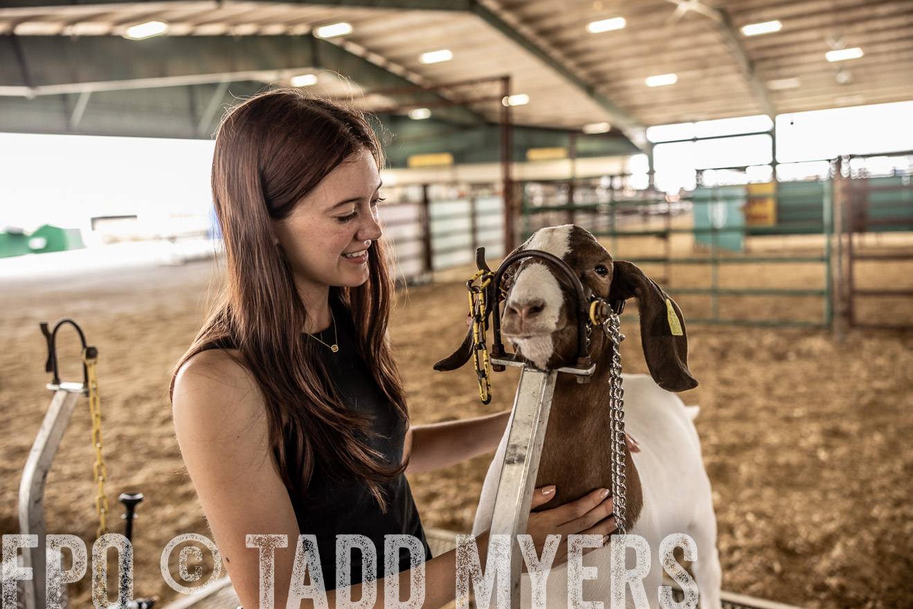 TMyers_PlotTwist_HEB_ConroeTX_April2024-516977