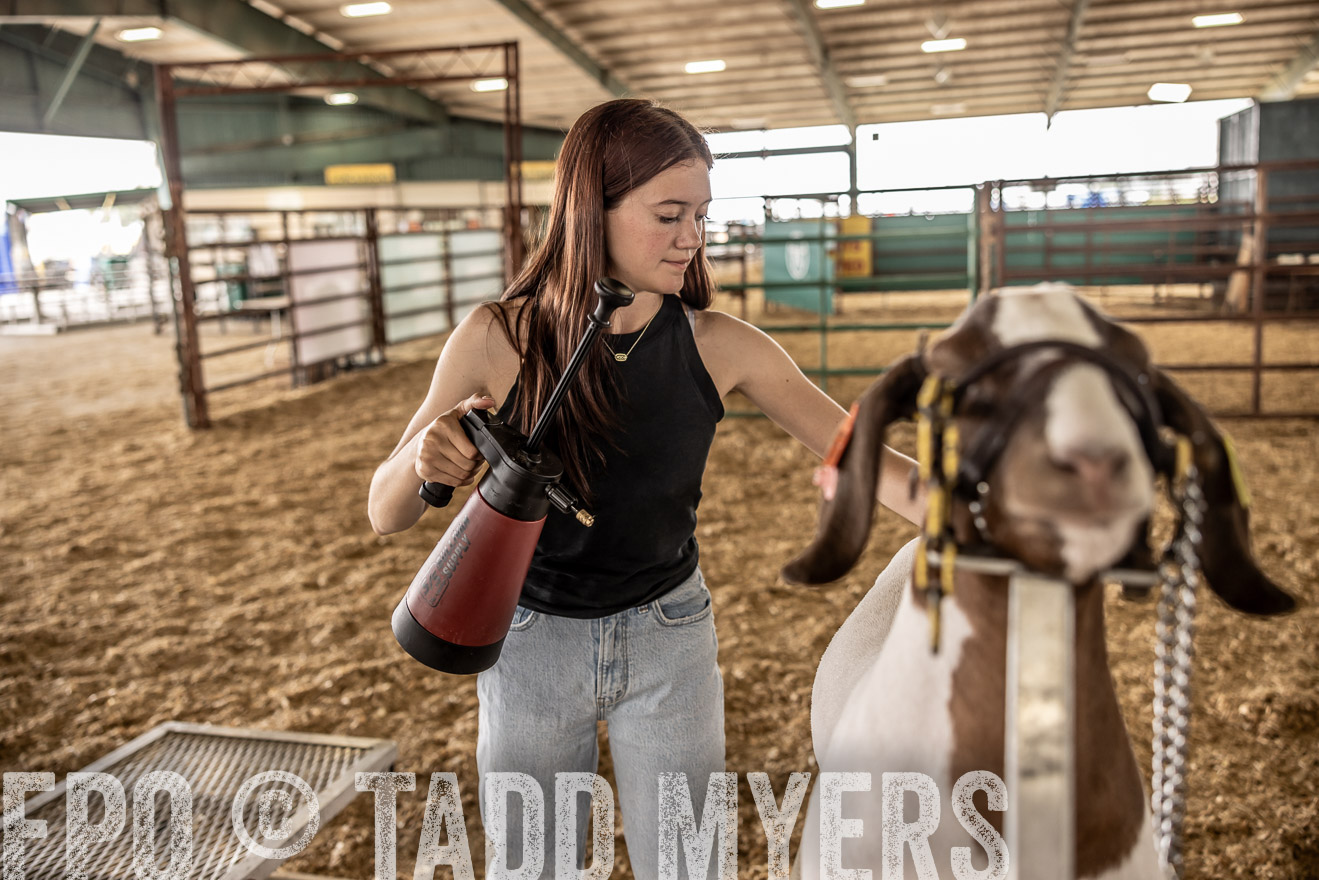 TMyers_PlotTwist_HEB_ConroeTX_April2024-517001