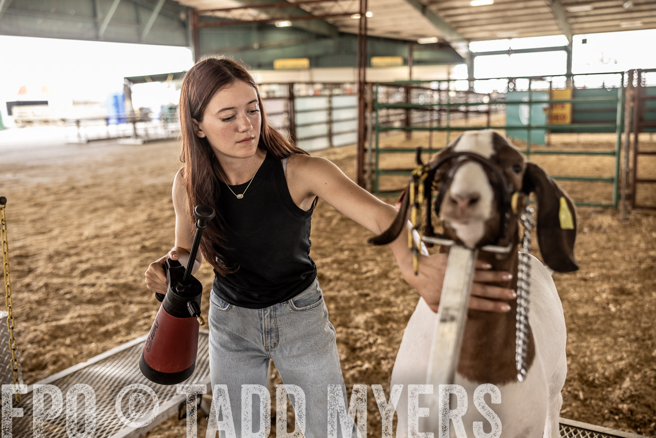TMyers_PlotTwist_HEB_ConroeTX_April2024-517005