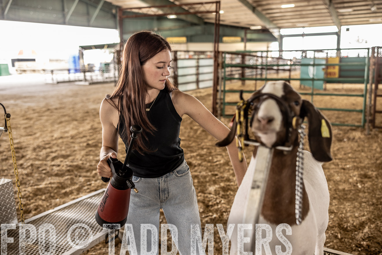 TMyers_PlotTwist_HEB_ConroeTX_April2024-517008