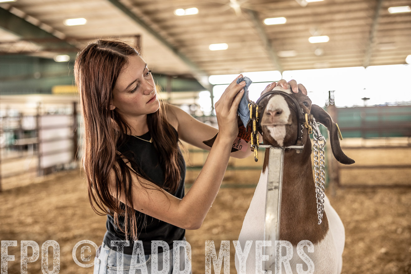 TMyers_PlotTwist_HEB_ConroeTX_April2024-517137