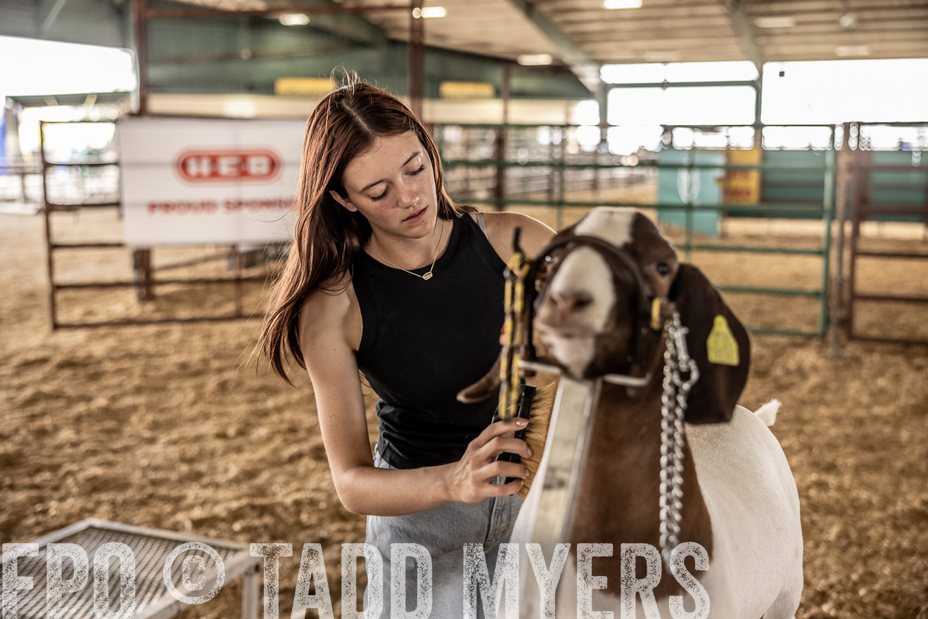TMyers_PlotTwist_HEB_ConroeTX_April2024-517338