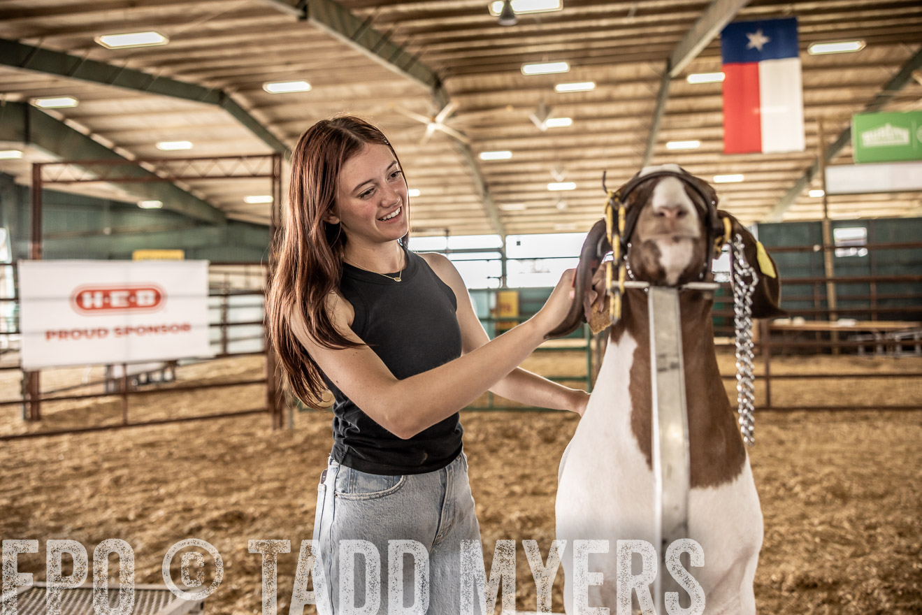 TMyers_PlotTwist_HEB_ConroeTX_April2024-517371