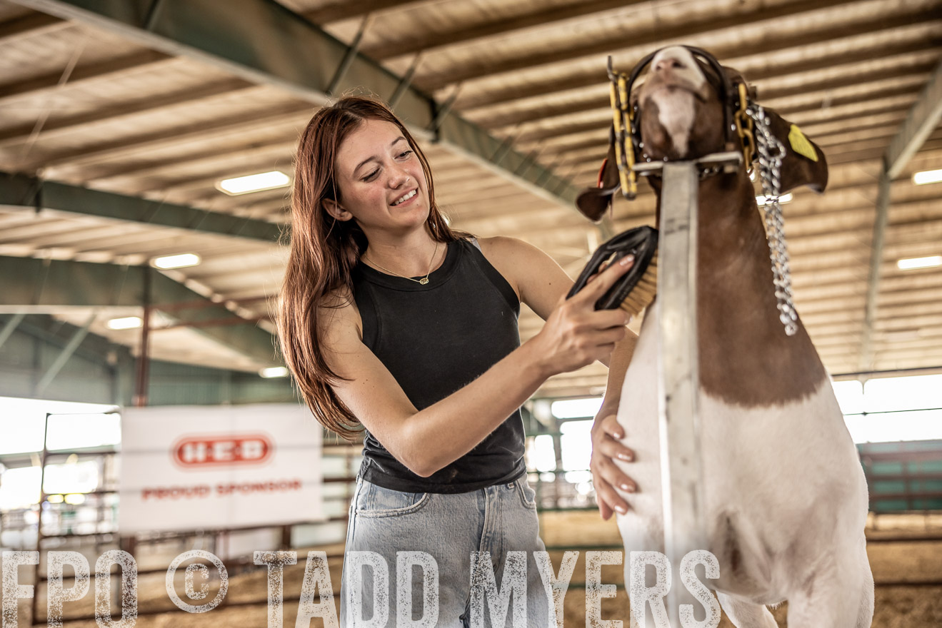 TMyers_PlotTwist_HEB_ConroeTX_April2024-517415