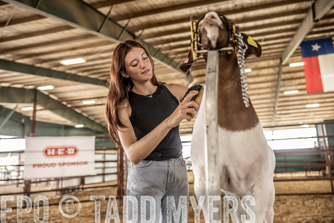 TMyers_PlotTwist_HEB_ConroeTX_April2024-517431