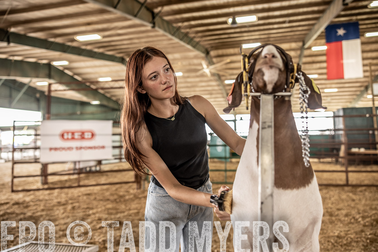 TMyers_PlotTwist_HEB_ConroeTX_April2024-517455