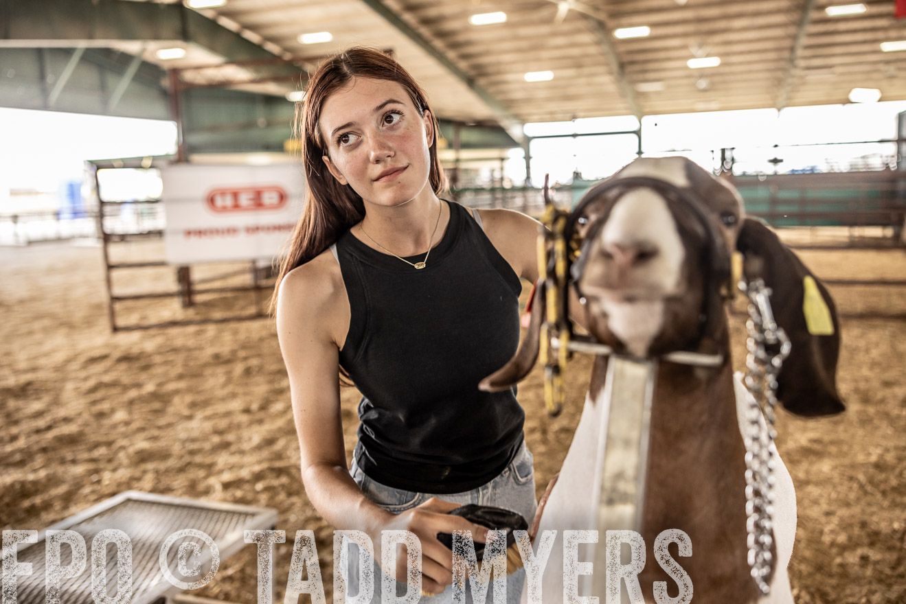 TMyers_PlotTwist_HEB_ConroeTX_April2024-517535