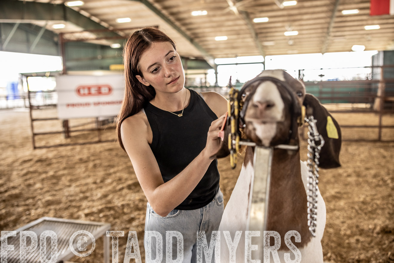 TMyers_PlotTwist_HEB_ConroeTX_April2024-517540