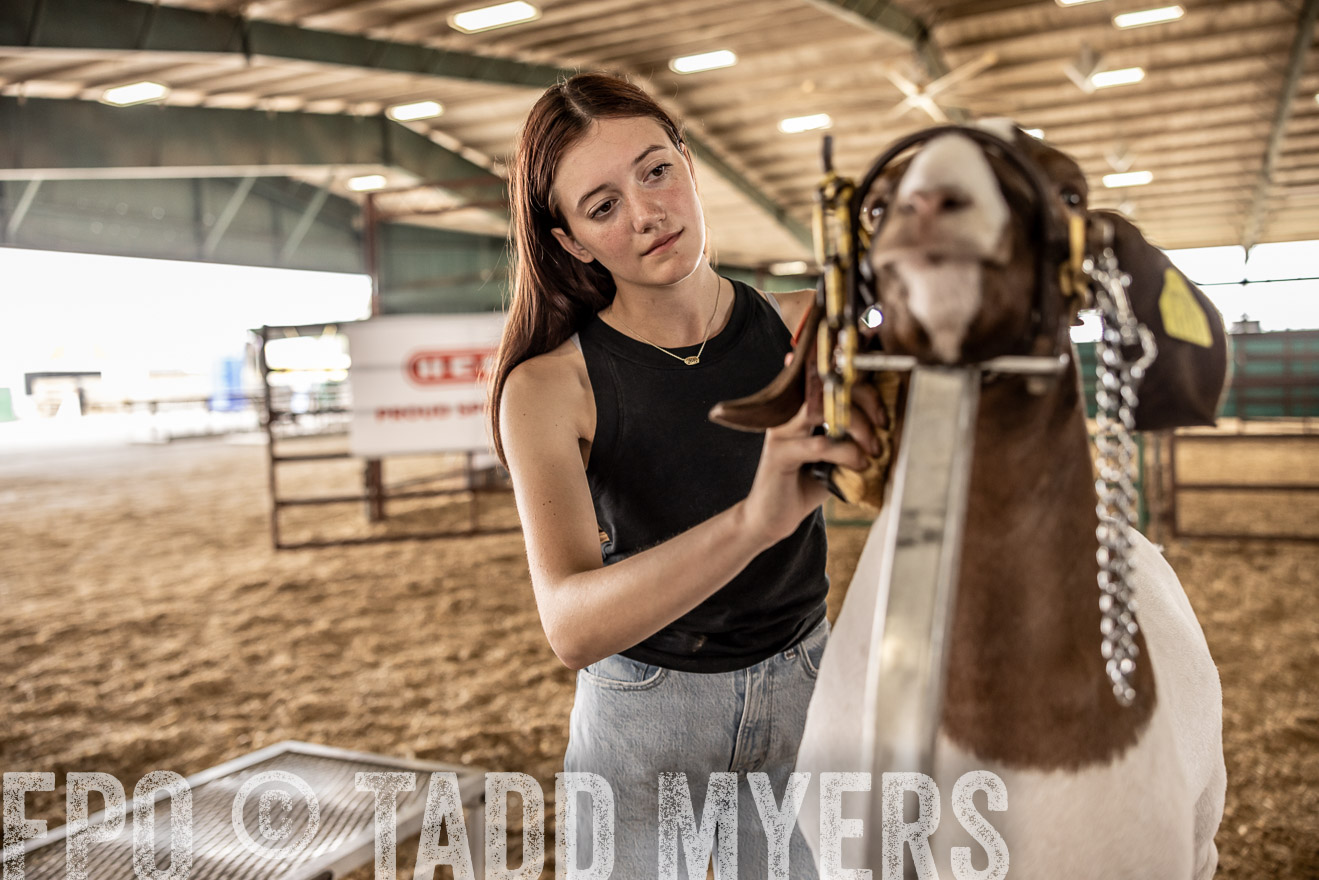 TMyers_PlotTwist_HEB_ConroeTX_April2024-517562