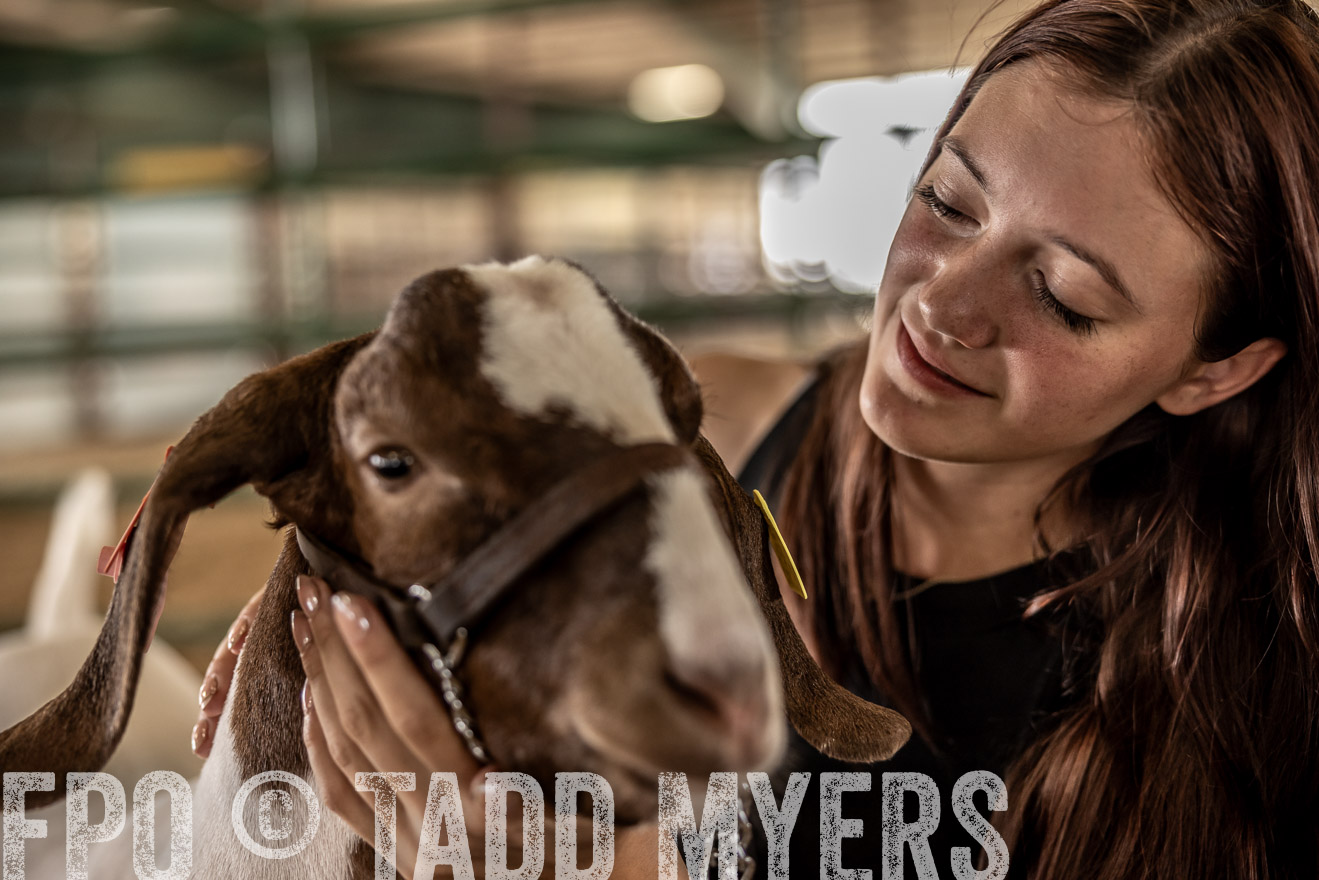 TMyers_PlotTwist_HEB_ConroeTX_April2024-517640