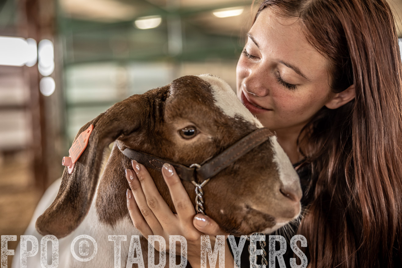 TMyers_PlotTwist_HEB_ConroeTX_April2024-517660