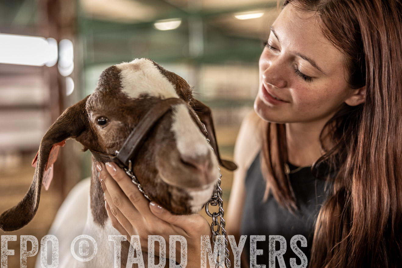 TMyers_PlotTwist_HEB_ConroeTX_April2024-517661