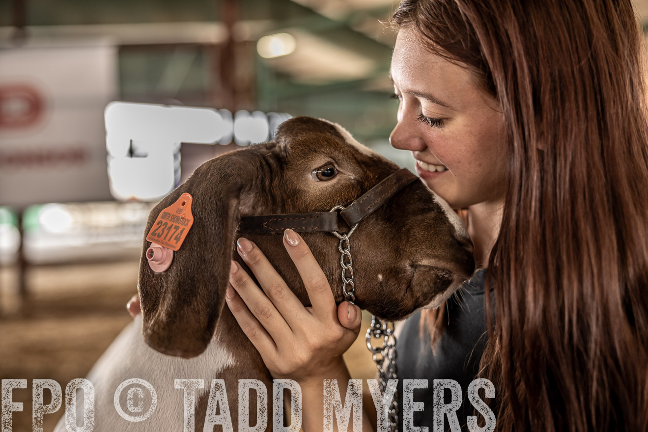TMyers_PlotTwist_HEB_ConroeTX_April2024-517726