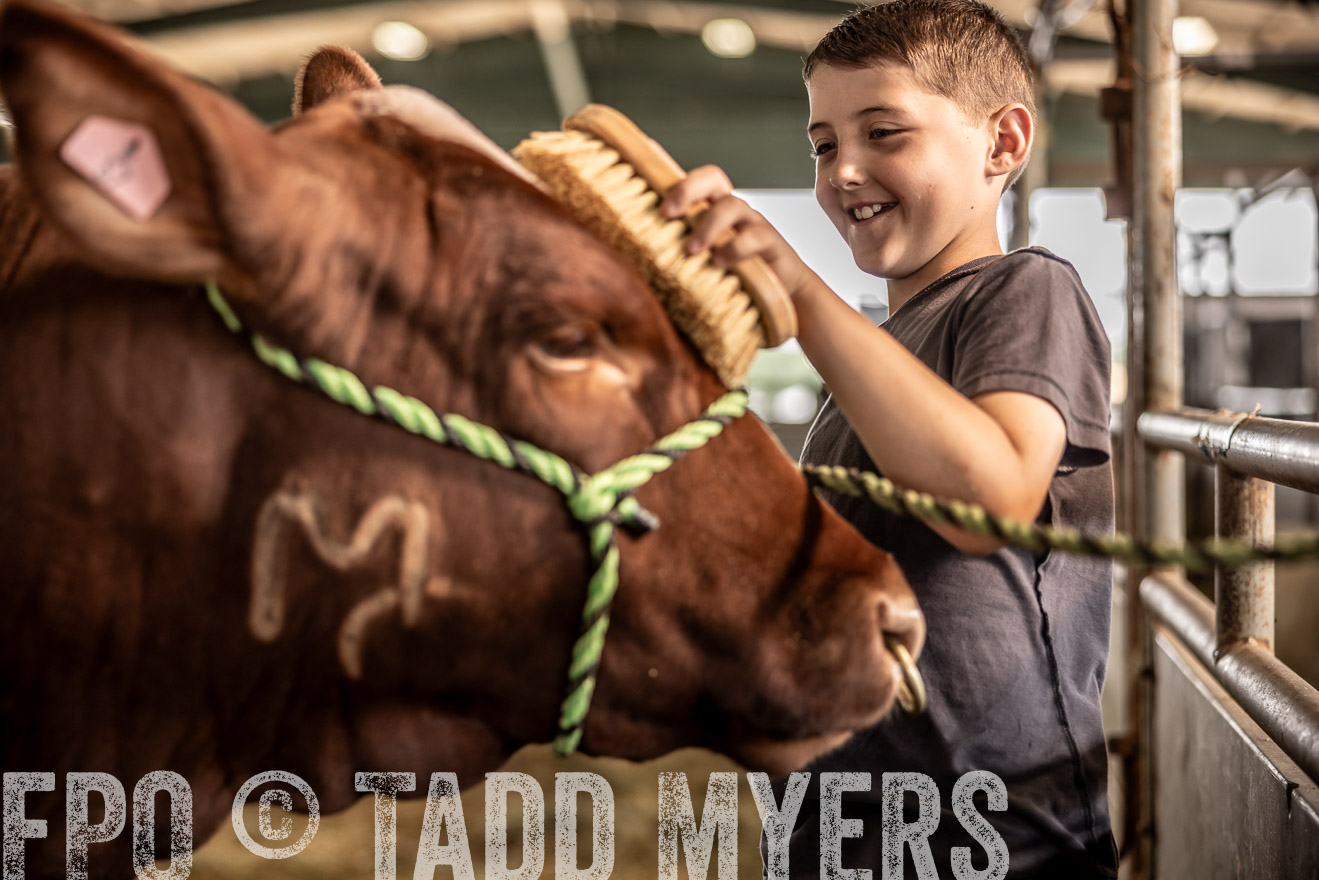 TMyers_PlotTwist_HEB_ConroeTX_April2024-517844