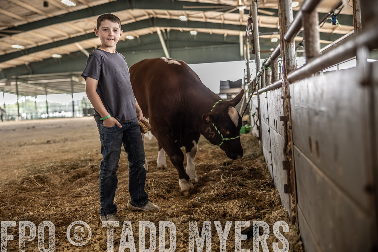 TMyers_PlotTwist_HEB_ConroeTX_April2024-517913