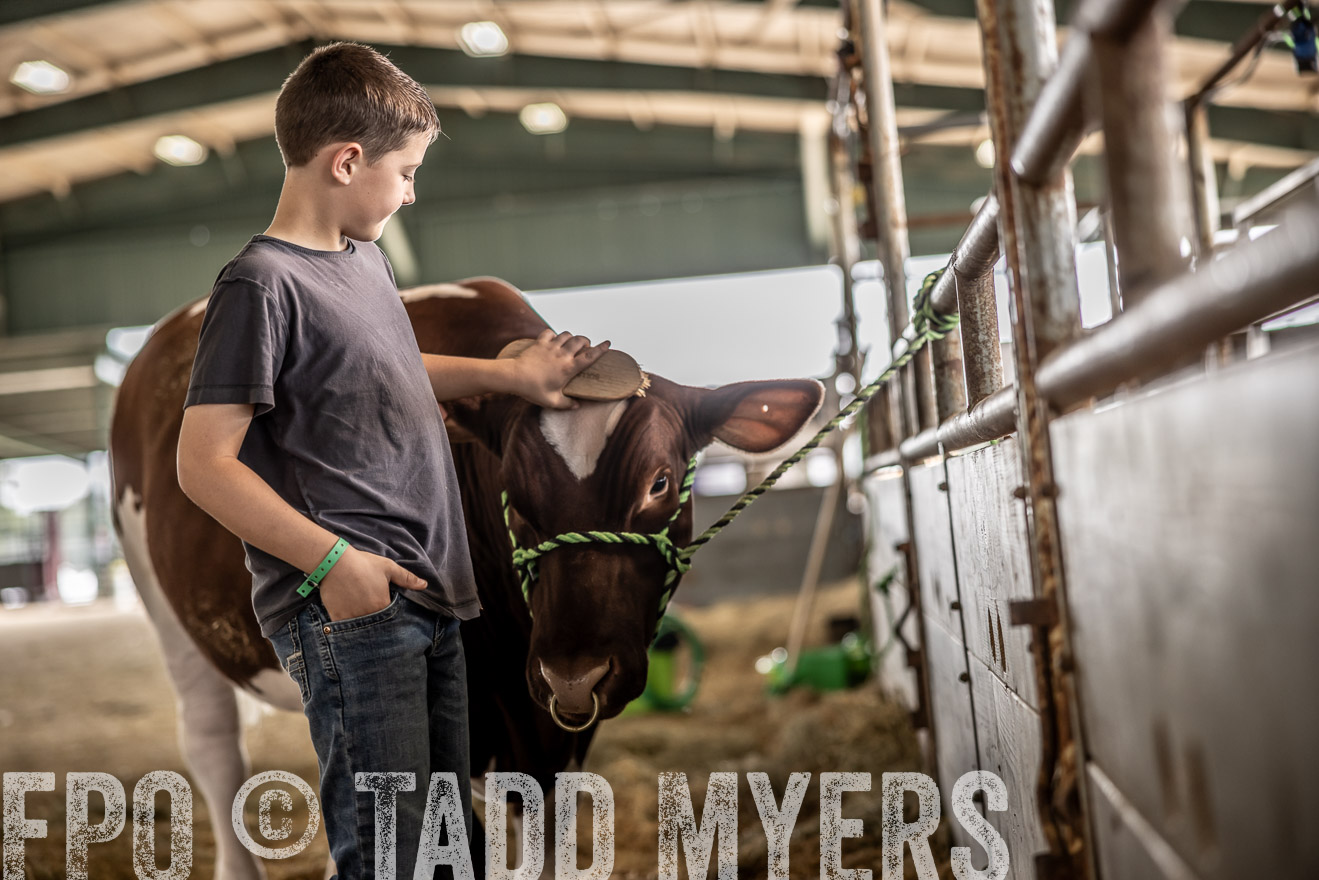 TMyers_PlotTwist_HEB_ConroeTX_April2024-517917