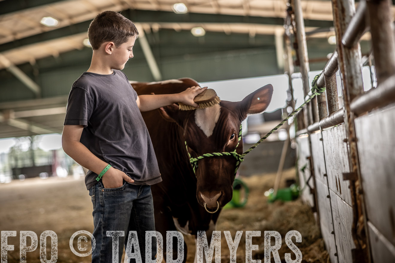 TMyers_PlotTwist_HEB_ConroeTX_April2024-517921