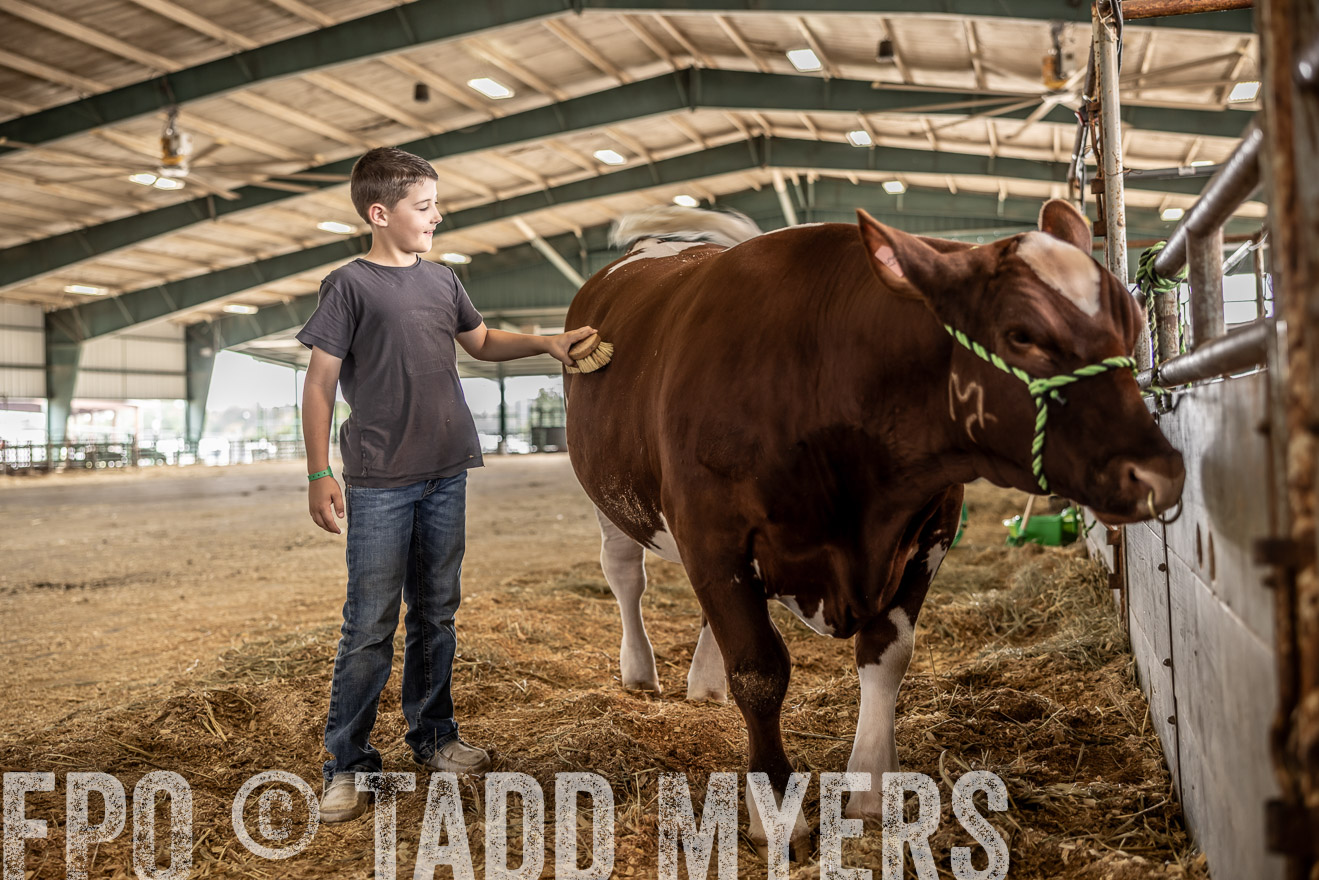 TMyers_PlotTwist_HEB_ConroeTX_April2024-517964