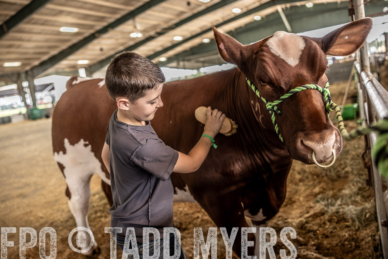 TMyers_PlotTwist_HEB_ConroeTX_April2024-517990